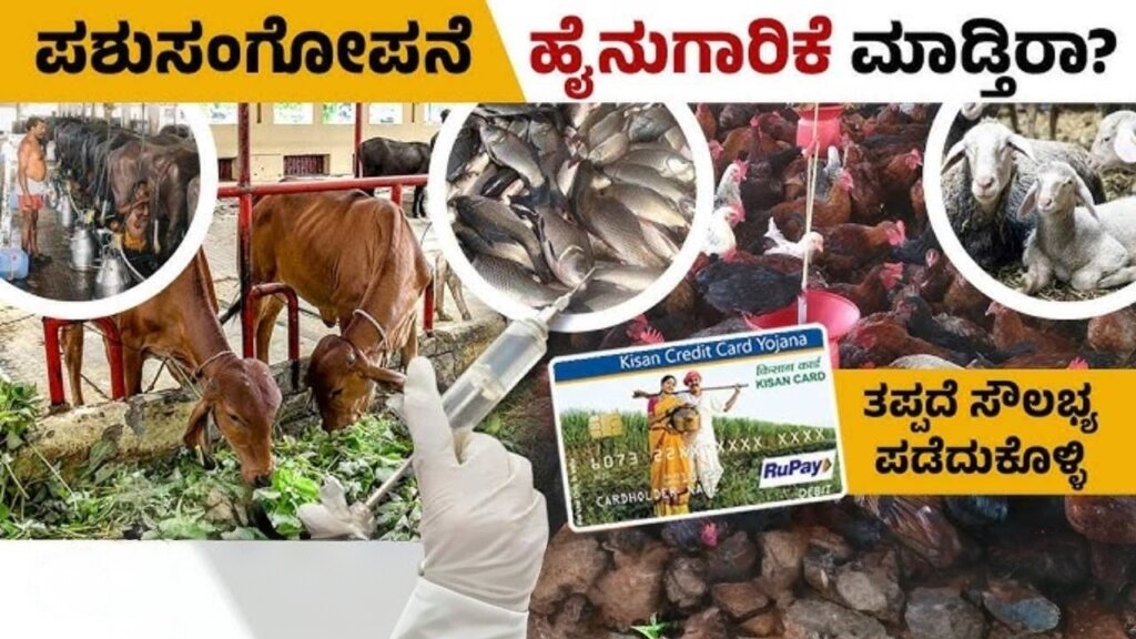 ಆಕಳು ಹಾಗೂ ಎಮ್ಮೆ ಖರೀದಿಗೆ ₹1.25 ಲಕ್ಷ ಸರ್ಕಾರದ ಸಹಾಯಧನ – ಸಂಪೂರ್ಣ ಮಾರ್ಗದರ್ಶಿ 3 20250810 052037