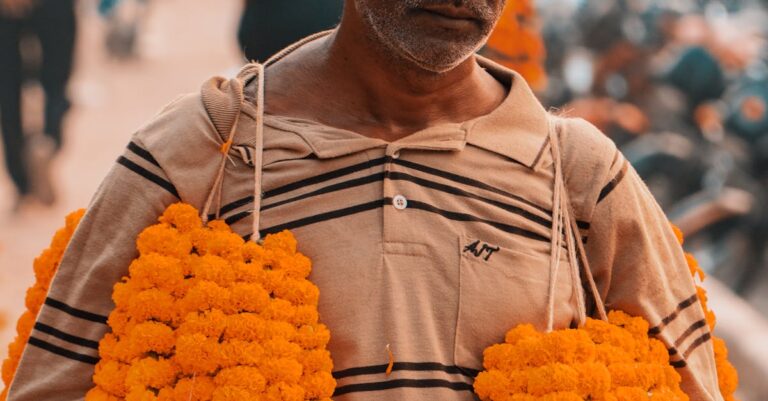 Big Numbers, Bigger Dreams: India's $500 Billion Shopping Spree from the US