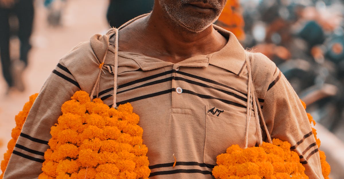 Big Numbers, Bigger Dreams: India's $500 Billion Shopping Spree from the US