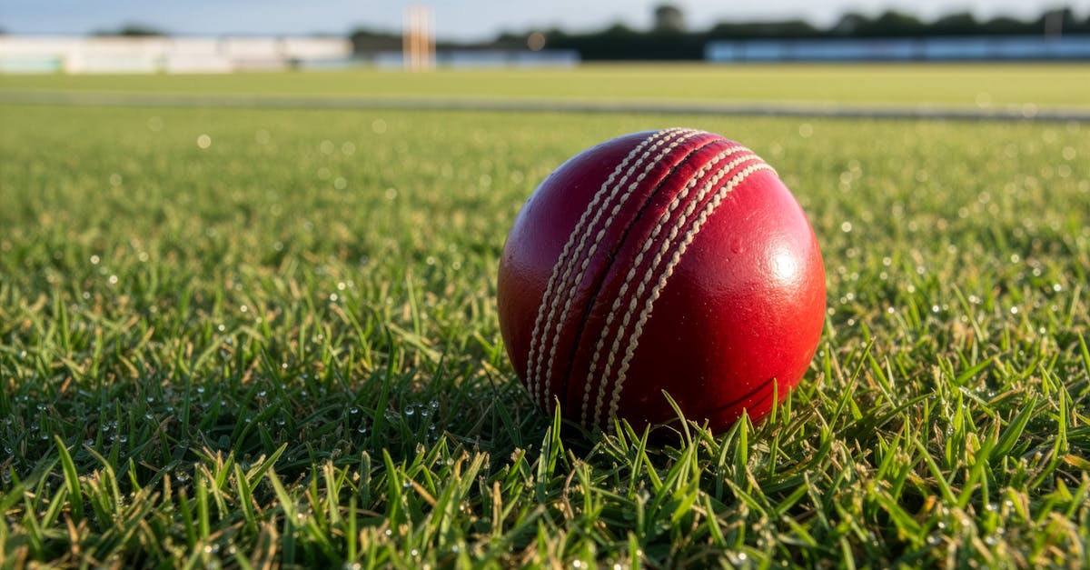 Rain Check! T20 World Cup Drama: When The Weather Wins